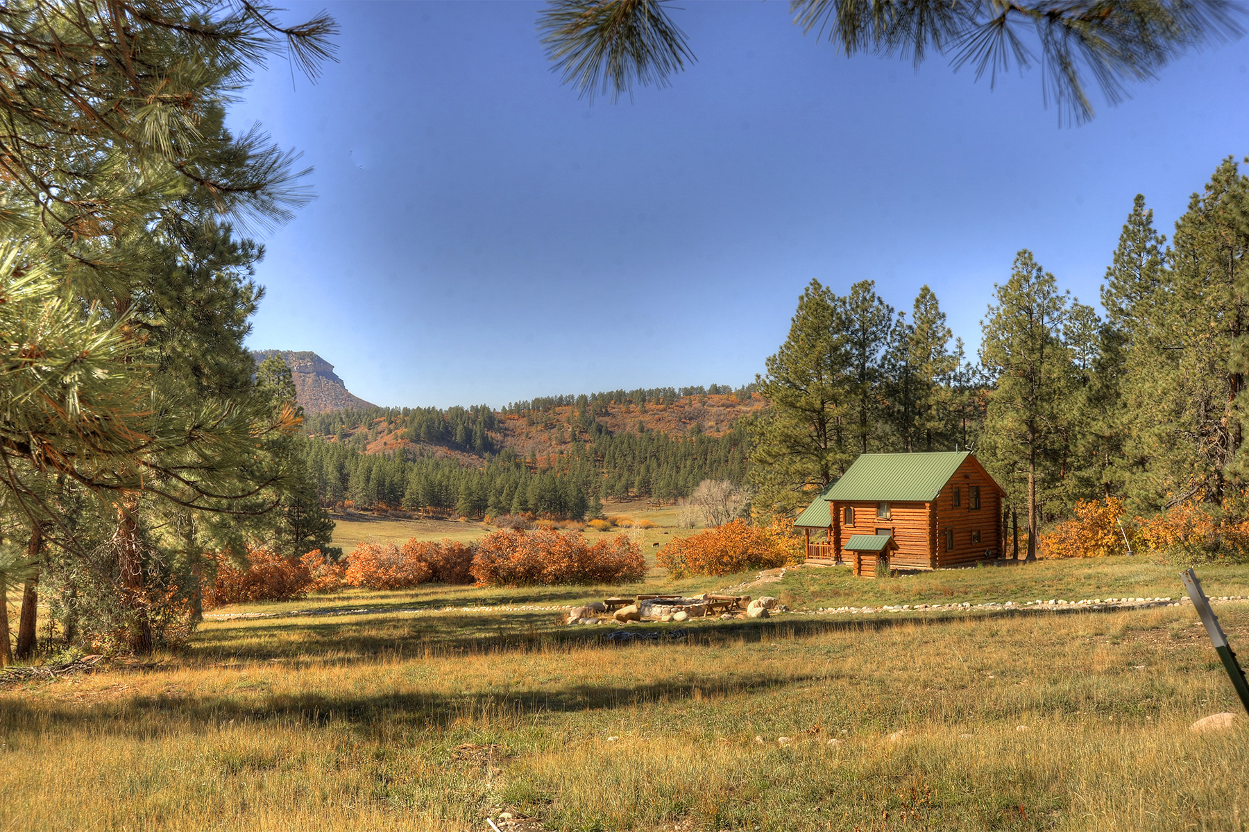 Singles in durango co